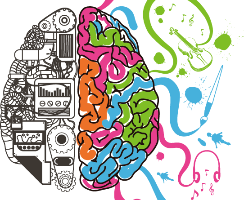 brain-function